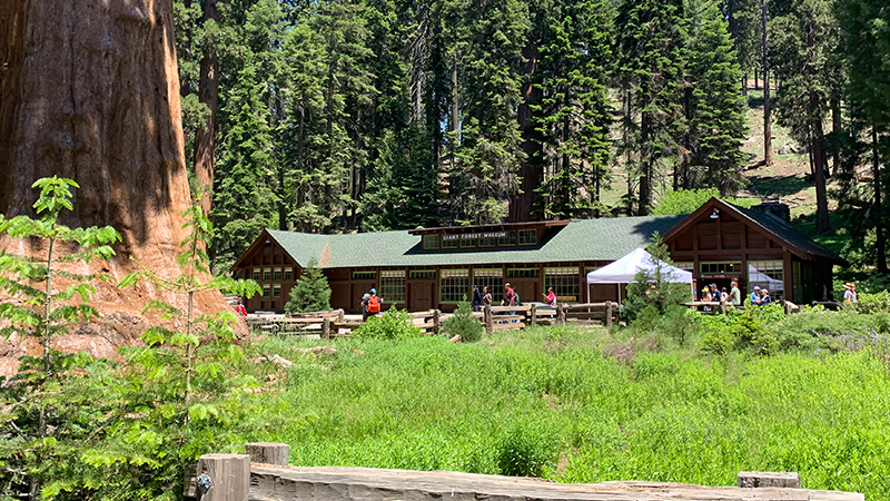 Giant Forest Museum at Sequoia National Park