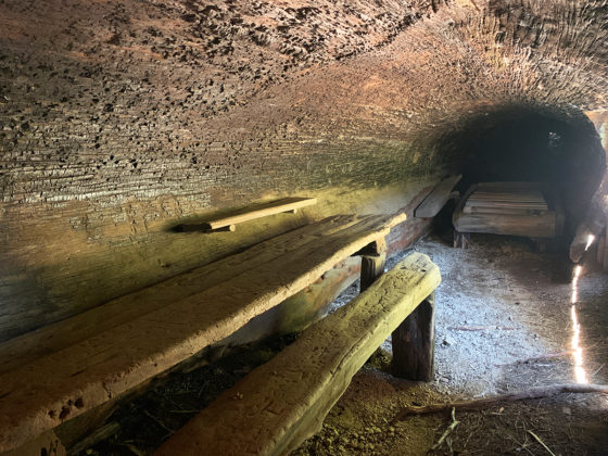 Inside Tharp's Log