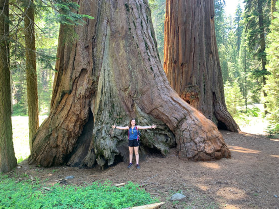 Natalie Bourn Standing In Front of a Giant Sequoia
