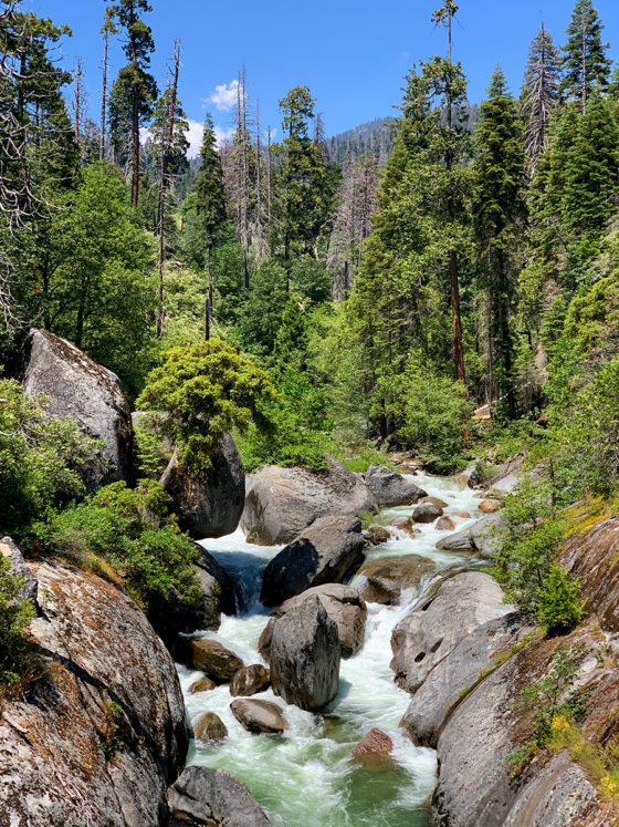 River at Sequoia National Park