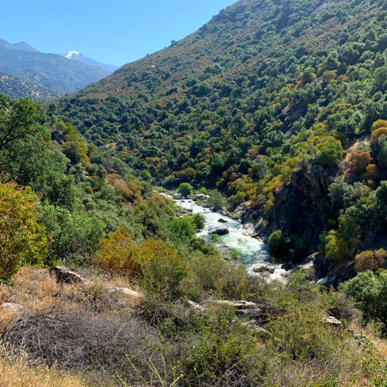 River Through Sequoia National Park