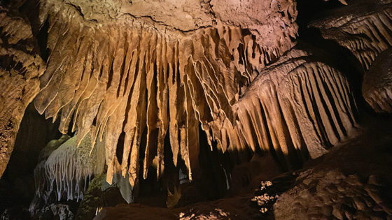 Crystal Cave Marble Cavern At Sequoia National Park