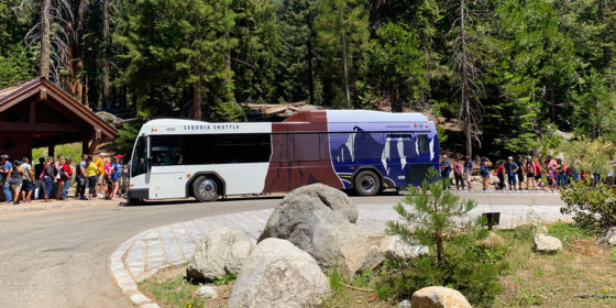 Sequoia National Park Shuttle