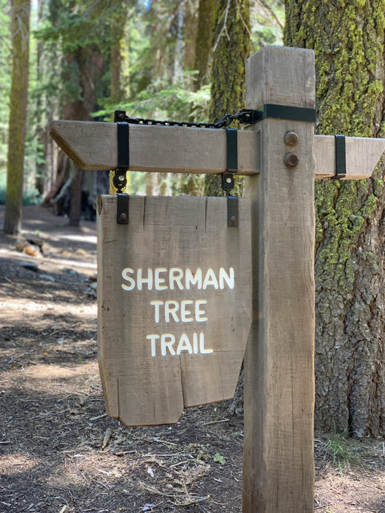 Sherman Tree Trail Sign