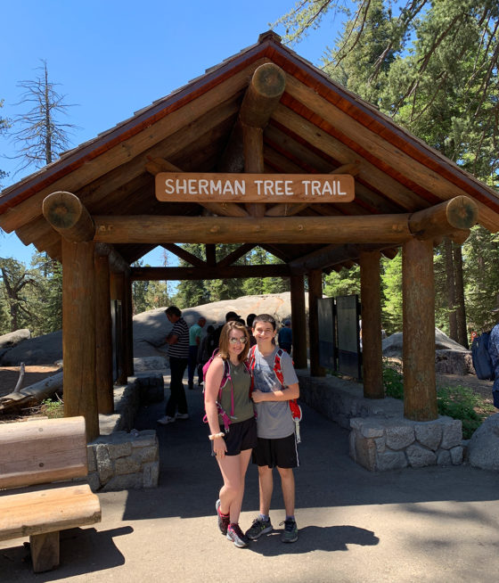 Shaded Sherman Tree Trailhead