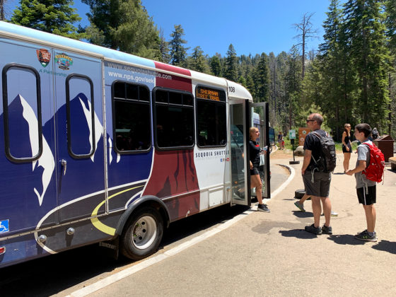 Shuttle Bus At Sequoia National Park