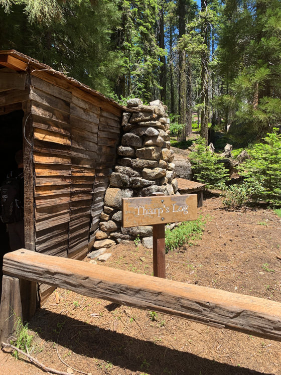 Tharp's Log