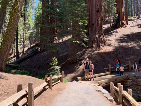Walking through Sequoia National Park