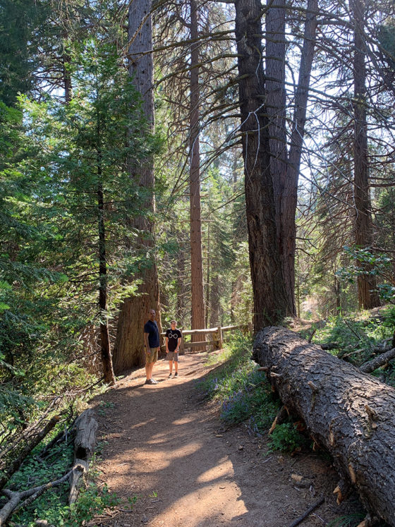 Big Stump Trail