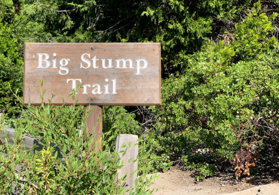 Big Stump Trail Sign