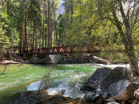 Bridge to Zumwalt Meadow