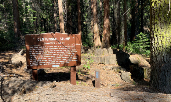 Centennial Stump at Kings Canyon national Park