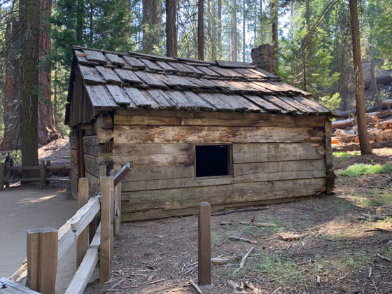 Gamlin Cabin Grant Tree Trail