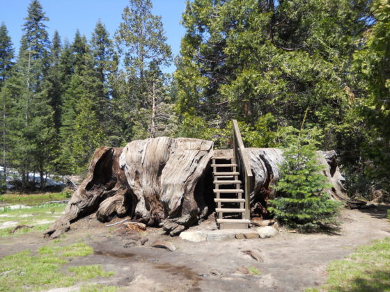 Mark Twain Stump