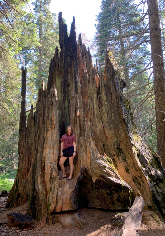 Natalie Bourn Standing On a Giant Sequoia Stump
