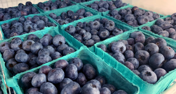 Organic Blueberries from Cascadian Farms