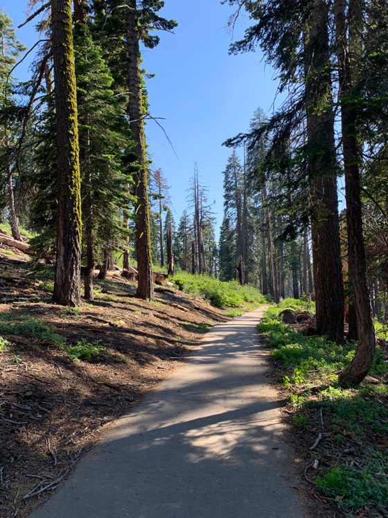 Panoramic Point Trail at Kings Canyon National Park