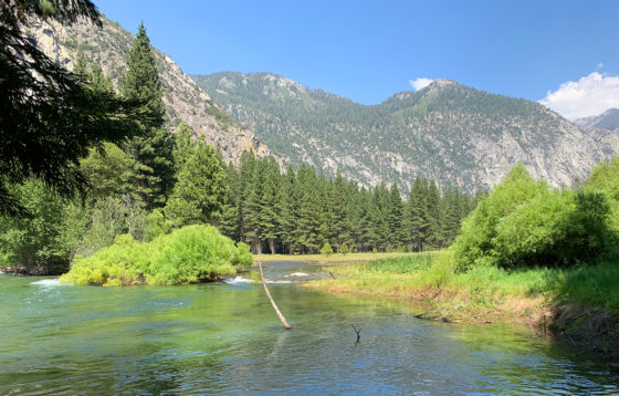 Zumwalt Meadow Trail Flooded