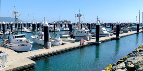 Boats in the Crescent City Harbor