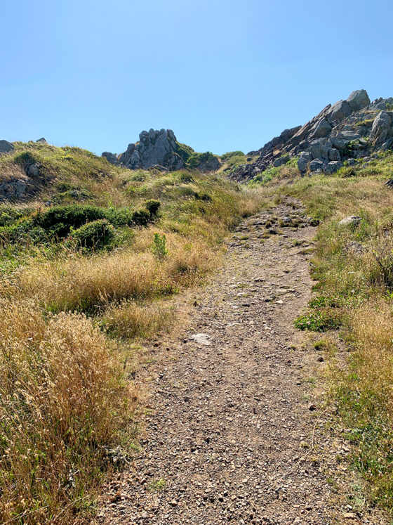 Trail Up Whaler Island